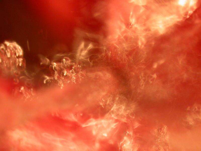 Waterworks - Img2003-11-18_0054.jpg